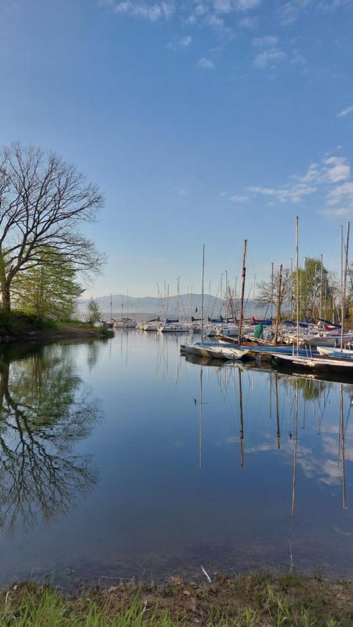 Laguna24 Jezioro Zywieckie Klimatyzowany Apartament 40 M2 Zarzecze  Exteriör bild